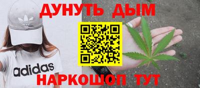Альфа ПВП Кандалакша
