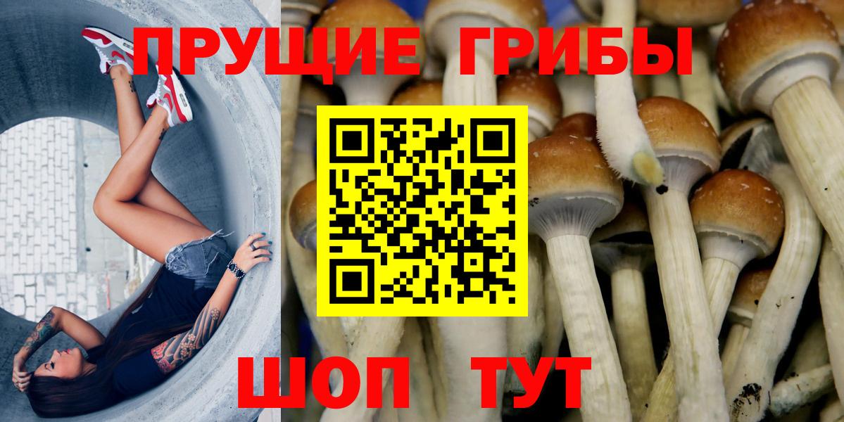 Псилоцибиновые грибы прущие грибы Вязники
