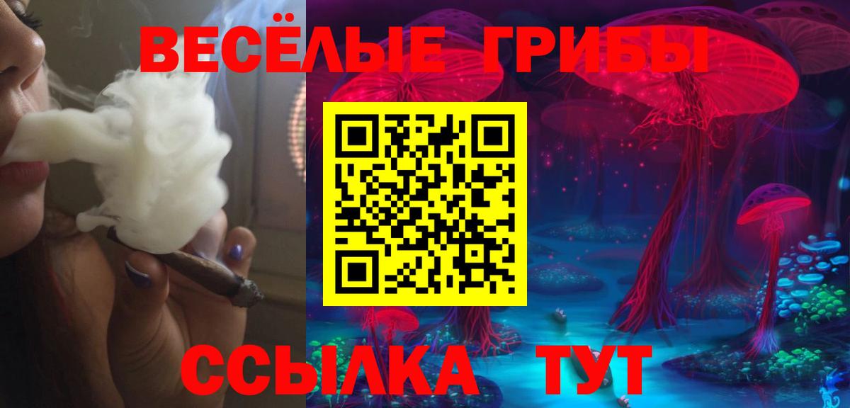 Галлюциногенные грибы Psilocybe  Вход с VPN  Вязники 